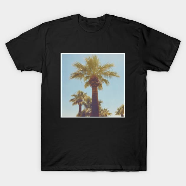 Pretty picture of a Palm Tree. Pretty Palm Trees Photography design with blue sky T-Shirt by BoogieCreates